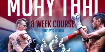 Introduction to Muay Thai Course